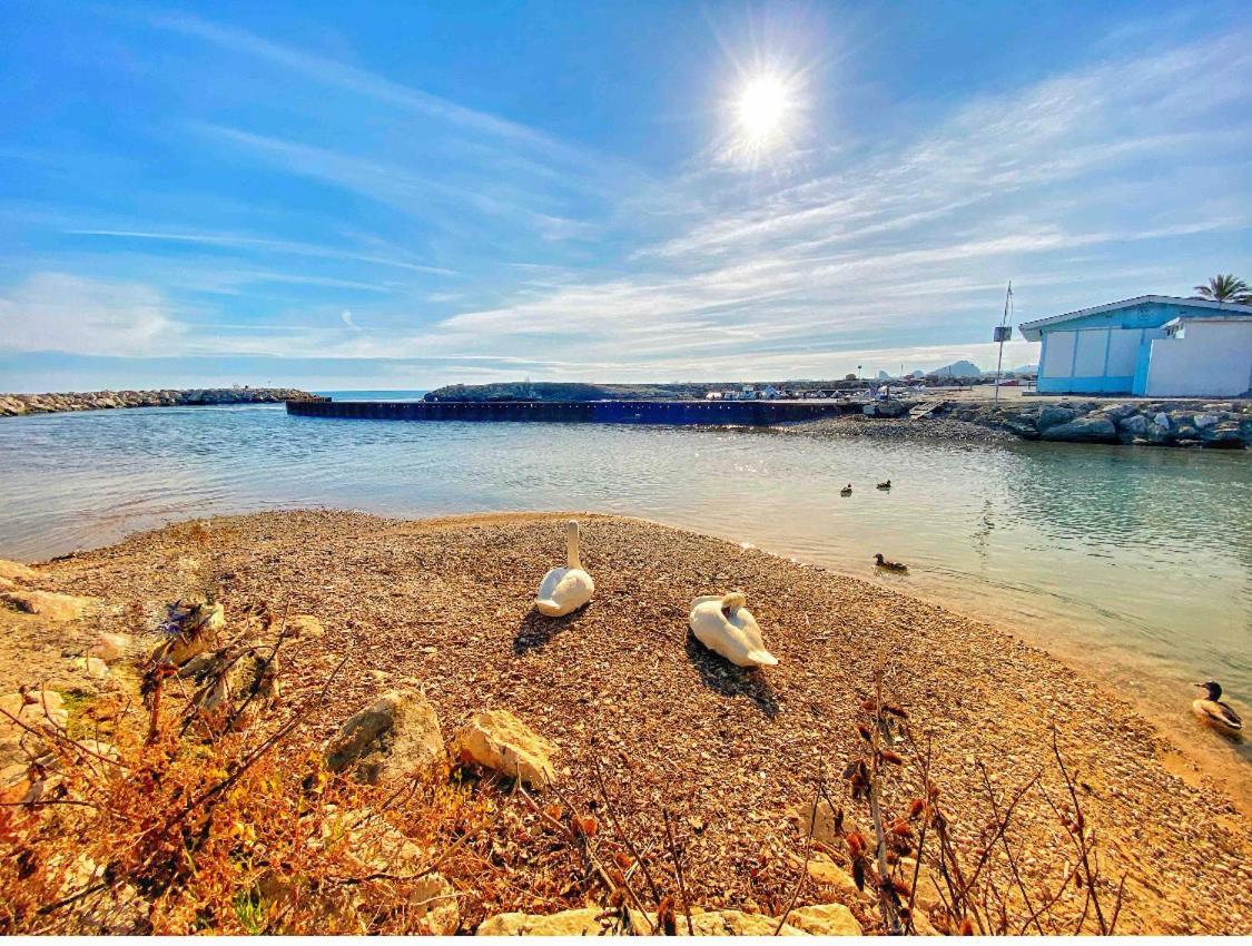 50M Plage / 200M Hippodrome 2 Pieces Jardin Garage Cagnes-sur-Mer Exterior foto